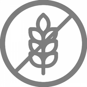 Gluten free icon