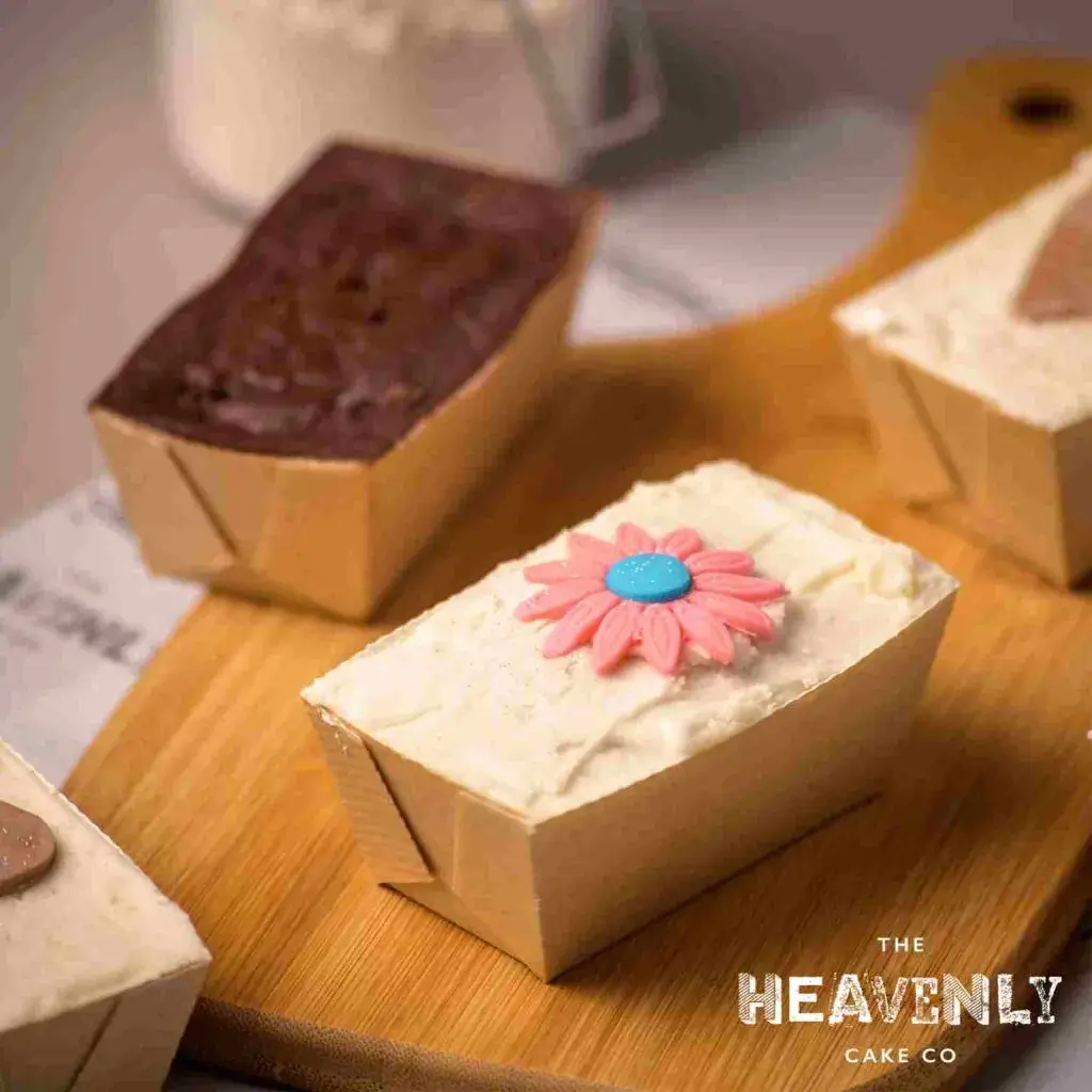 Vegan vanilla and chocolate mini cakes. Egg and dairy free perfect for birthdays